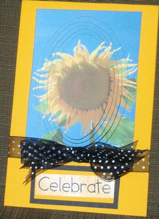 Sunny Sunflower by Brenda Schetnan