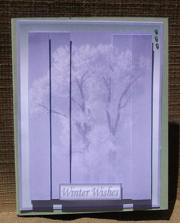 Winter Wonder by Brenda Schetnan