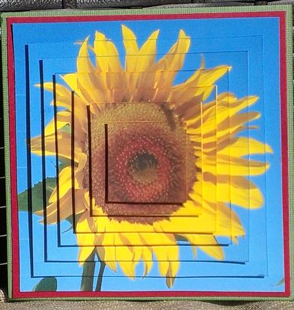 Sunflower Square Pyramid by Brenda Schetnan
