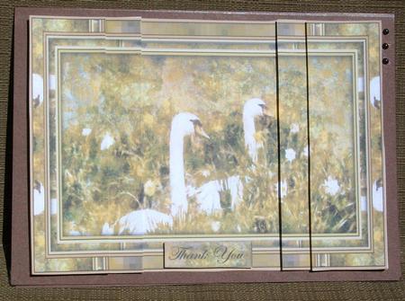 Swans in the Daffodils by Brenda Schetnan