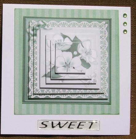 Apple Blossom Pyramage Sheet by Brenda Schetnan