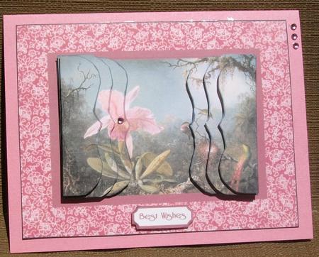 Humming Bird and Orchid by Brenda Schetnan