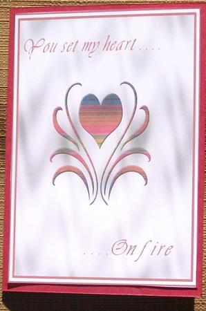 You Set My Heart on Fire by Brenda Schetnan