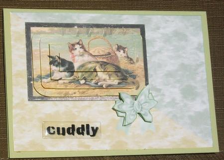 Cats on a Picnic by Brenda Schetnan