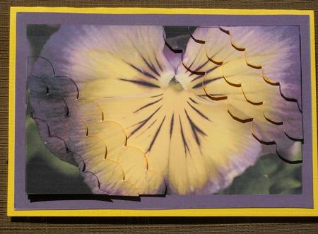 Purple Pansy Friend Birthday Topper by Brenda Schetnan