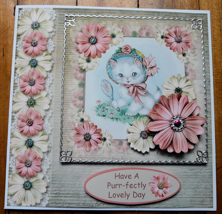Pretty Kitty & Daisies by Brenda Scott