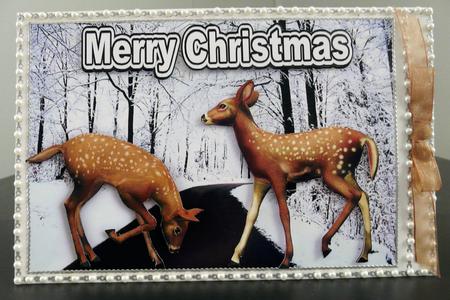 Cute Deers Playing on a Snowy Road by Brenda Scott