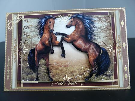 Wild Stallions - the Battle by Brenda Scott