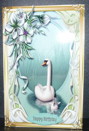 A4 Swansong and Winter Flowers  by Brenda Scott