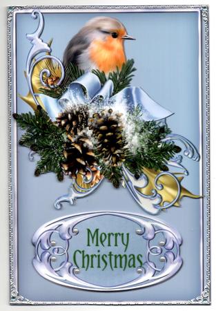 Xmas Robin by Brenda Scott