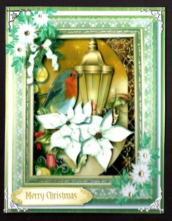 Christmas Robin and White Poinsettias,  by Brenda Scott