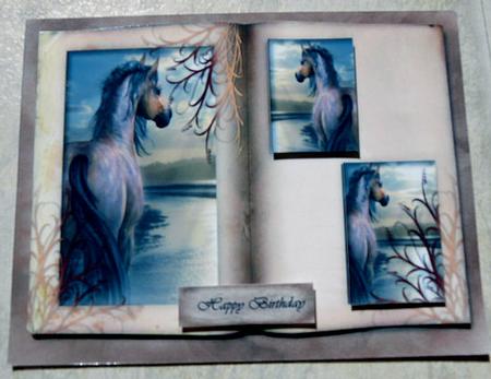 Male Card Horses Book by Brenda Scott