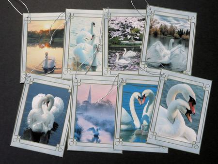 Swan Song Tags by Brenda Scott