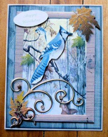 Blue Jays in the Woods Card Topper by Brenda Scott