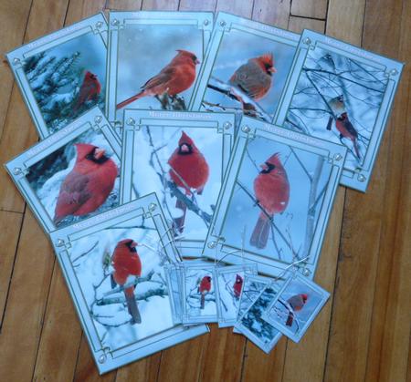 Birds: Winter Cardinal Tags by Brenda Scott