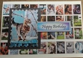 Cats Stamps by cari seybolt-ruiz