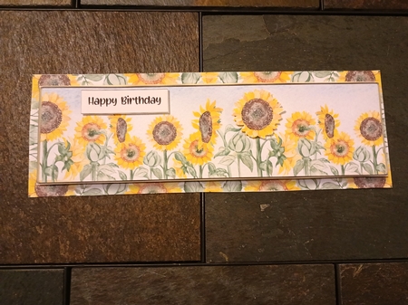 Landscape Lge DL - Sunflowers by cari seybolt-ruiz