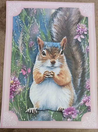 2 All about the squirrels card front/toppers 6 by cari seybolt-ruiz