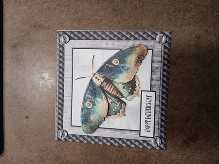 The Moth Mini Kit 4 by cari seybolt-ruiz