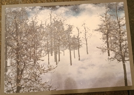 Winter Wonderland Backgrounds - Watercolour Woods by cari seybolt-ruiz