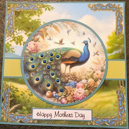 proud as a peacock  by cari seybolt-ruiz
