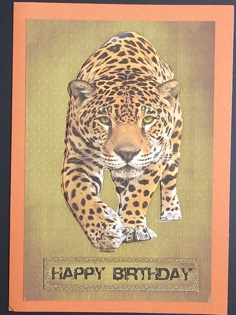 Jaguar Birthday by cari seybolt-ruiz