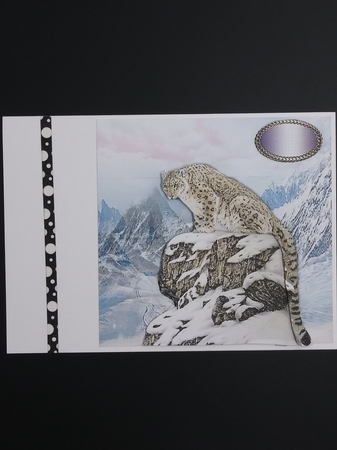 snow leopard by cari seybolt-ruiz
