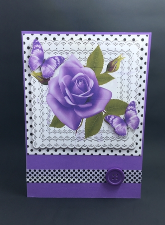 pretty purple roses on lace with butterflies and black polkadot 8x8 by cari seybolt-ruiz