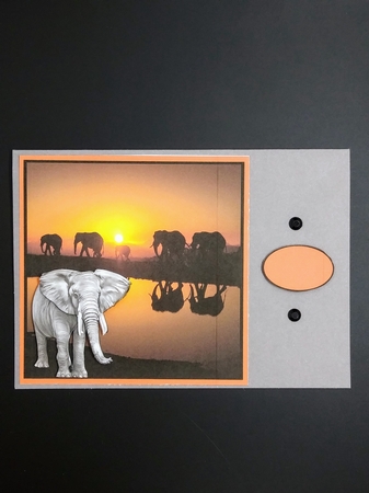 ELEPHANTS AT SUNSET - MINI KIT by cari seybolt-ruiz