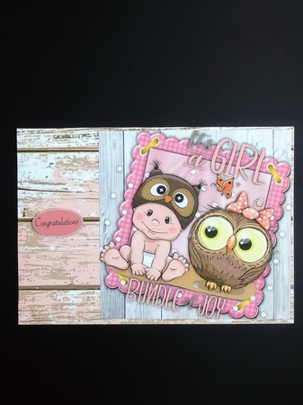 Baby & Owl 8x8 by cari seybolt-ruiz