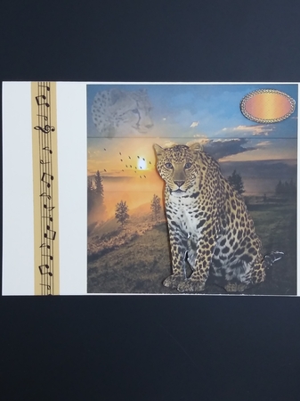 cheetah by cari seybolt-ruiz