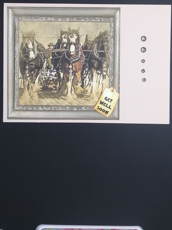 SHIRE COBB HORSES PLOUGHING MULTI SENTIMENT SHEET by cari seybolt-ruiz