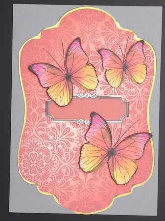 Berry and Fruit color collection CU  by cari seybolt-ruiz