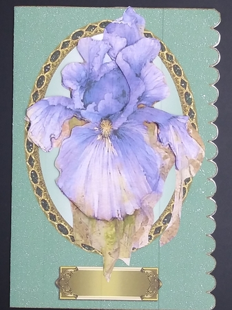 Cut & Fold Scalloped Edge Blank Cards With Oval Frame Kit by cari seybolt-ruiz