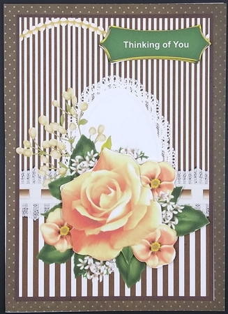 Peach Roses by cari seybolt-ruiz