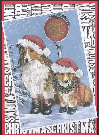 Words of Christmas 15 x Backing Papers kit by cari seybolt-ruiz