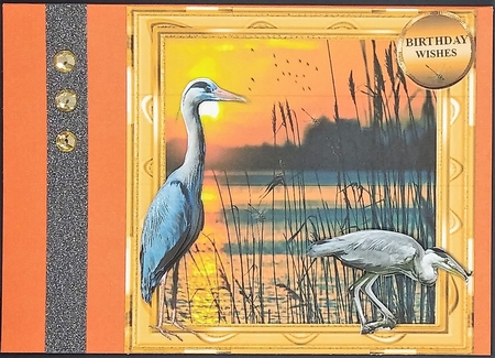 herons by cari seybolt-ruiz
