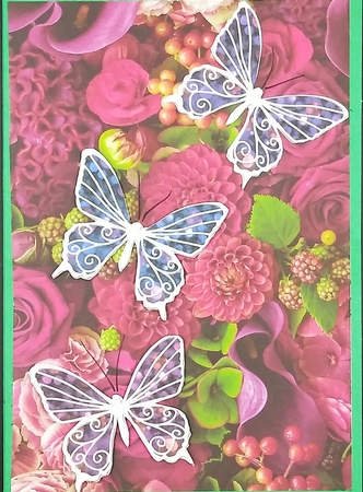 butterfly png by cari seybolt-ruiz