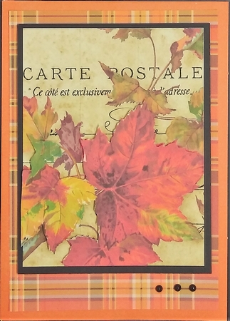 Autumn View - Color Palette 8x8 Plaid Tartan Backgrounds by cari seybolt-ruiz