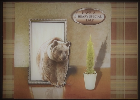 beary special by cari seybolt-ruiz