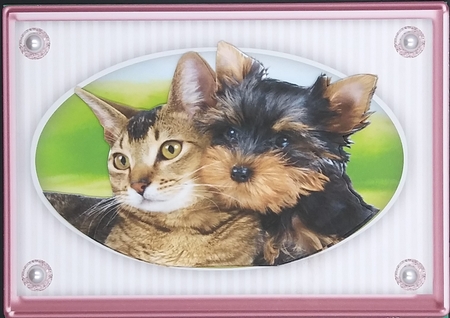 Beautiful Furry Friends  3 by cari seybolt-ruiz