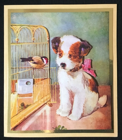 Puppy and Joey by Carol Bath 