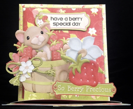 So Berry Precious Pop Up Slider Card Kit by Carol Bath 