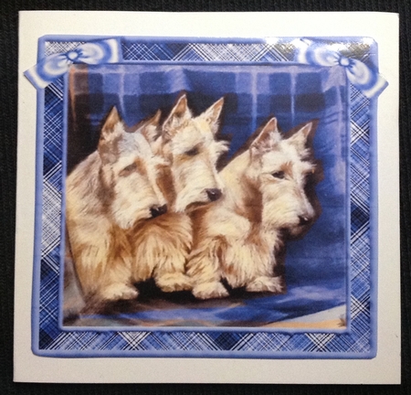 White Scotties in Blue Tartan Frame Pyramids by Carol Bath 