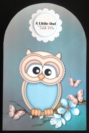 Ollie Owl Large Gift Bag by Carol Bath 