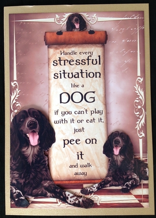 Handle Every Stressful Situation Like a Dog - munsterlander by Carol Bath 