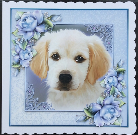 The Playful Puppy by Carol Bath 