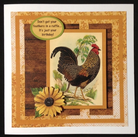 Dont Get Your Feathers In A Ruffle Rooster Birthday Get Well by Carol Bath 