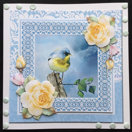 Bird and yellow roses by Carol Bath 