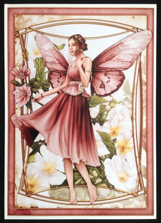 Ophelia Dark Pink 4 Sheet Mini Kit by Carol Bath 